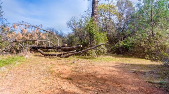 15 Coach Lane, Shingle Springs, CA 95682